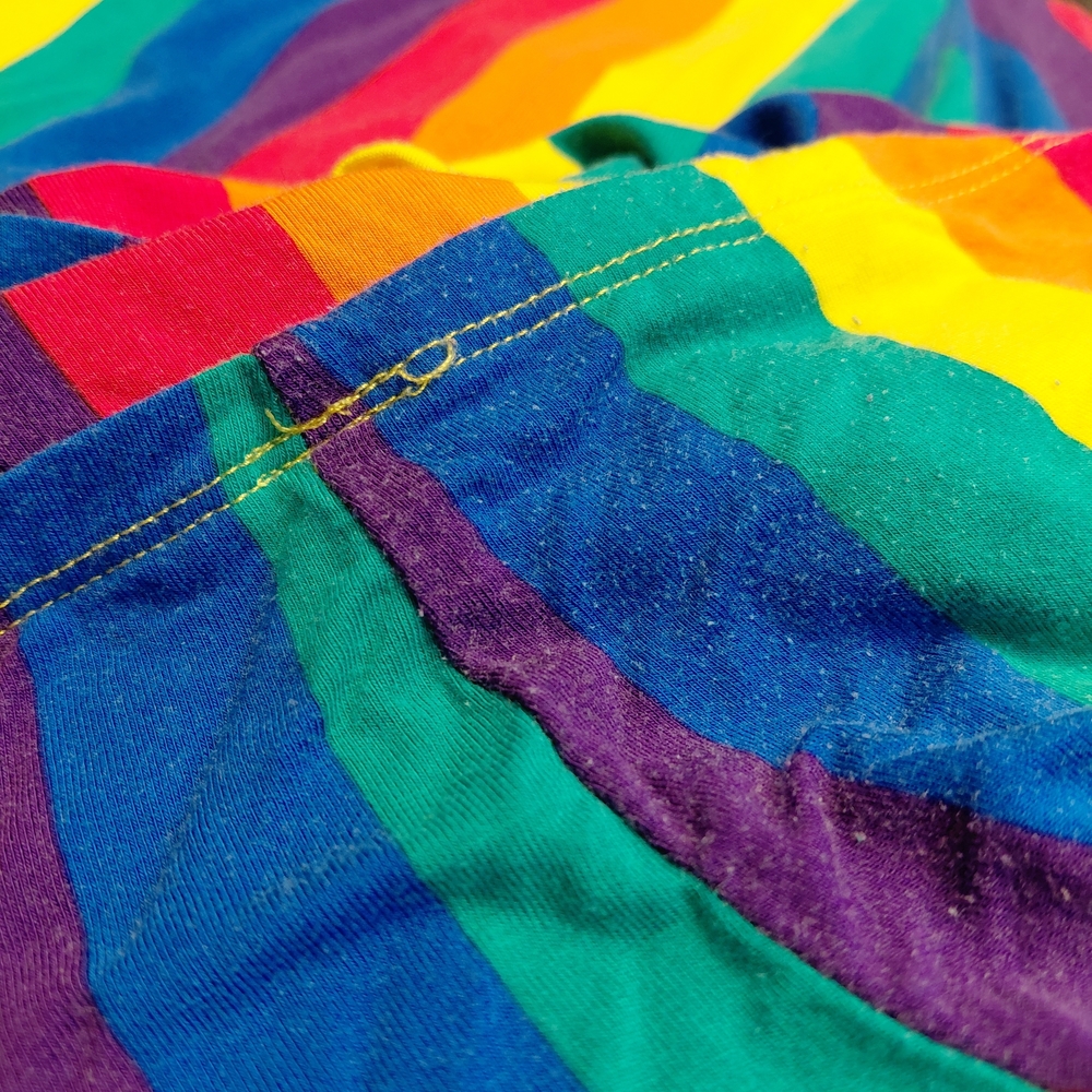 Torrid Rainbow Pride Striped Super Soft Knit Skirt, Shorts, Skort with pockets - Picture 9 of 16